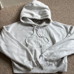 TNA aritzia Sweatfleece Boyfriend Hoodie
